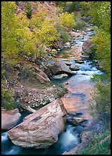 Boulders and Virgin River in  fall. Zion National Park, Utah, USA.