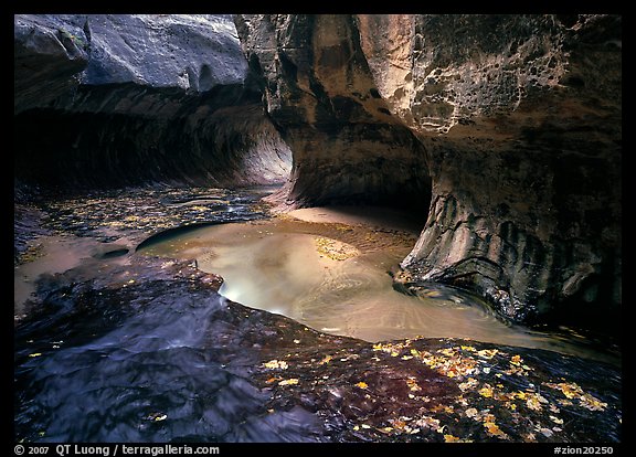 Water flowing in pools in the Subway, Left Fork of the North Creek. Zion National Park (color)