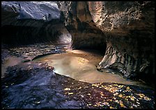 Water flowing in pools in  Subway, Left Fork of the North Creek. Zion National Park, Utah, USA.