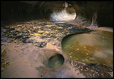 Pools and fallen leaves in autumn, the Subway. Zion National Park, Utah, USA.