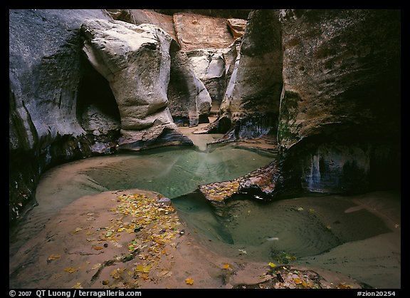 Pools and slot canyon rock walls, the Subway. Zion National Park, Utah, USA.