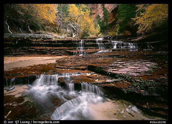 North Creek flowing over red travertine terraces in autumn. Zion National Park, Utah, USA.