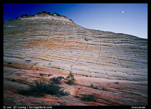 Checkerboard Mesa seen from base and moon. Zion National Park, Utah, USA.