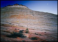 Checkerboard Mesa seen from base and moon. Zion National Park, Utah, USA.