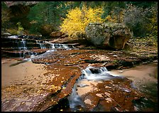 Creek flowing over travertine terraces, Left Fork of the North Creek. Zion National Park ( color)