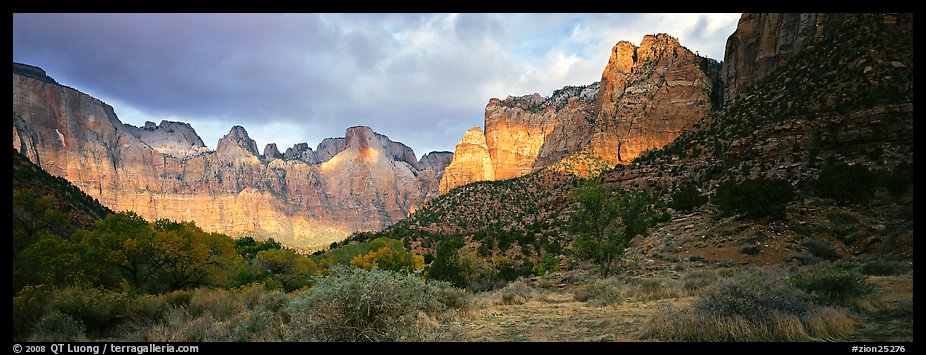 Amphitheater of tall towers. Zion National Park (color)