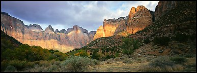 Amphitheater of tall towers. Zion National Park (Panoramic color)