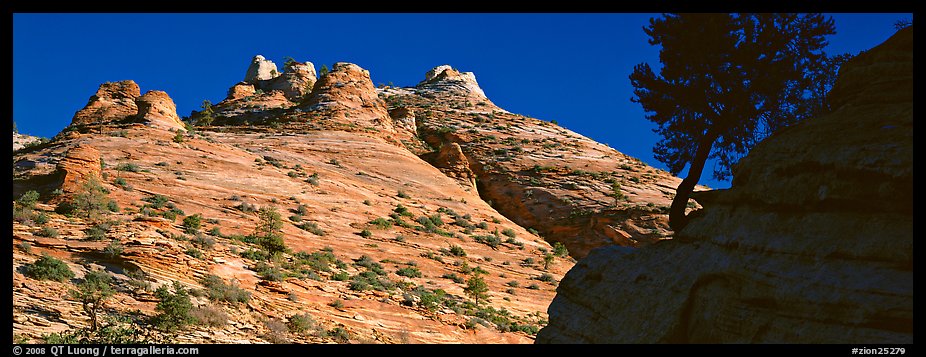 Sandstone swirls, Zion Plateau. Zion National Park (color)