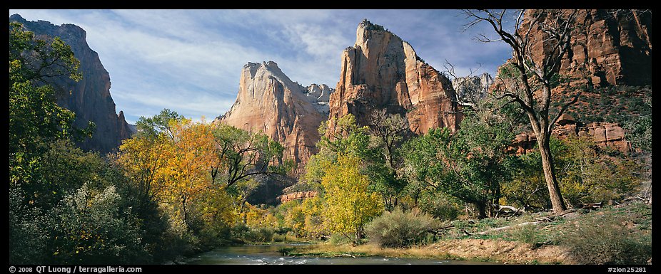Landscape with trees and tall sandstone towers. Zion National Park (color)