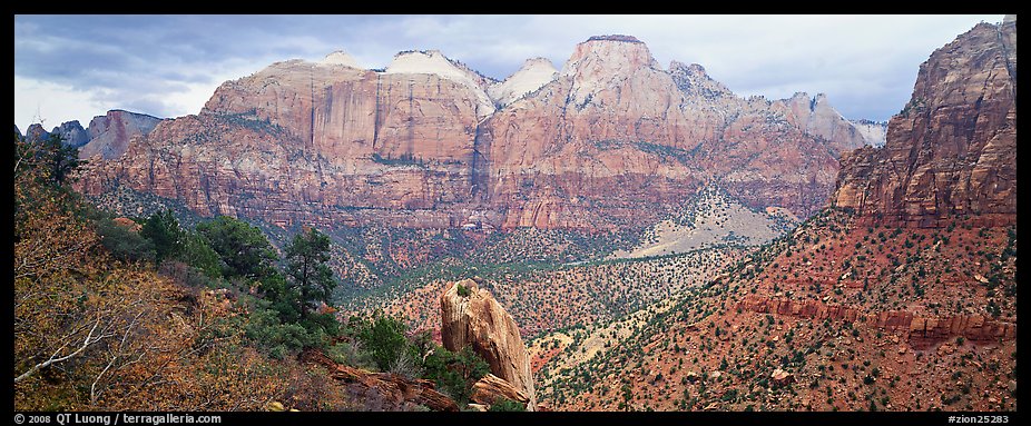 Towers of the Virgin View. Zion National Park (color)