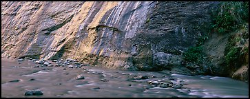 Wet gorge wall and Virgin River. Zion National Park (Panoramic color)