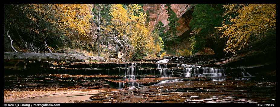 Autumn landscape with terraces flowing over creek. Zion National Park (color)