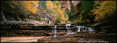 Autumn landscape with terraces flowing over creek. Zion National Park (Panoramic color)