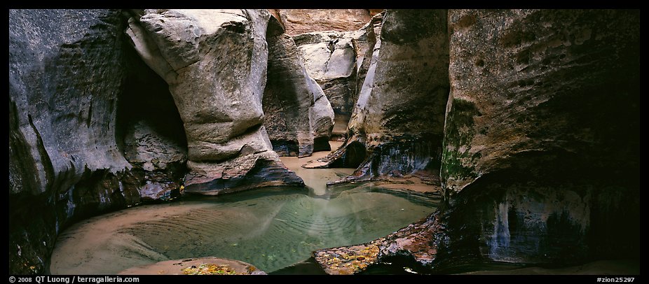 Sculptured walls of narrow gorge. Zion National Park (color)