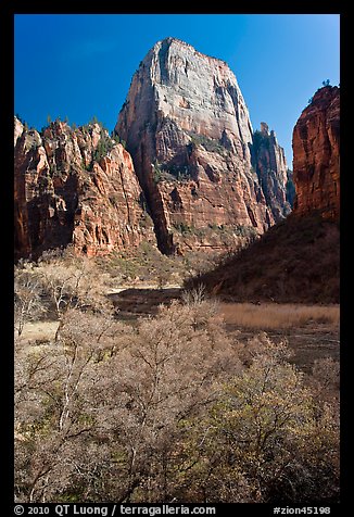 Great White Throne. Zion National Park, Utah, USA.