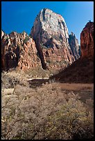 Great White Throne. Zion National Park ( color)