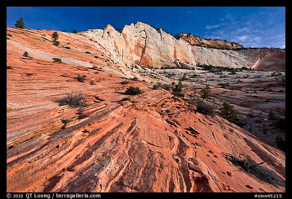 Pink sandstone swirls and white cliff. Zion National Park (color)