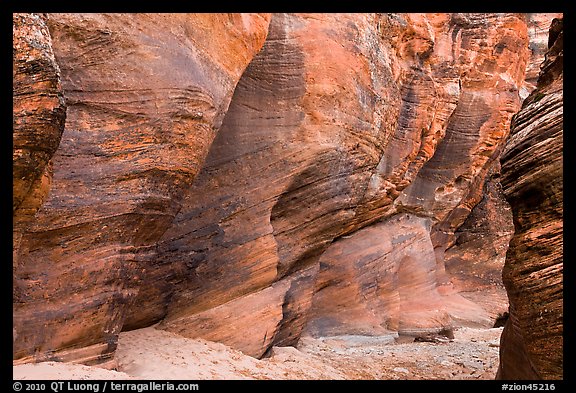 Rocks polished by water in gorge. Zion National Park, Utah, USA.