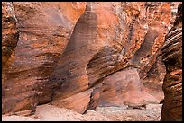 Rocks polished by water in gorge. Zion National Park ( color)