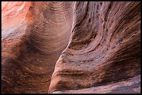 Detail of rock wall eroded by water. Zion National Park, Utah, USA.