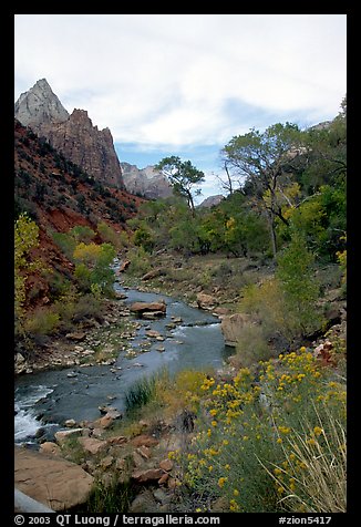 Virgin River in Zion Canyon, afternoon. Zion National Park, Utah, USA.