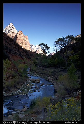 Virgin River and Court of the Patriarchs, early morning. Zion National Park, Utah, USA.