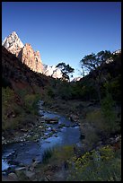 Virgin River and Court of the Patriarchs, early morning. Zion National Park, Utah, USA. (color)