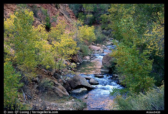 Virgin river, trees, and boulders. Zion National Park (color)