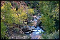 Virgin river, trees, and boulders. Zion National Park, Utah, USA.