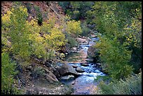 Virgin river, trees, and boulders. Zion National Park, Utah, USA.