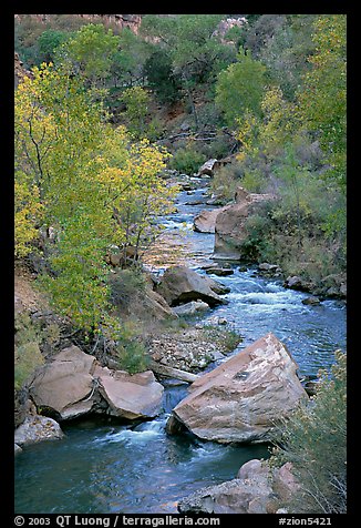 Virgin river, boulders, and trees. Zion National Park, Utah, USA.