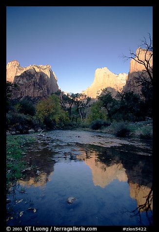 Court of  Patriarchs reflected in the Virgin River, sunrise. Zion National Park, Utah, USA.