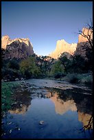 Court of  Patriarchs reflected in the Virgin River, sunrise. Zion National Park, Utah, USA.