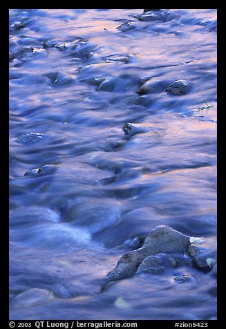 Water flowing over stones in Virgin River. Zion National Park, Utah, USA.