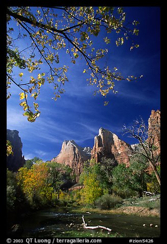 Court of the Patriarchs and Virgin River, mid-day. Zion National Park, Utah, USA.