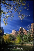 Court of the Patriarchs and Virgin River, mid-day. Zion National Park, Utah, USA. (color)