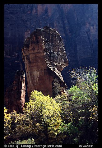 The Pulpit, temple of Sinawava, late morning. Zion National Park, Utah, USA.