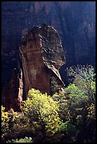 The Pulpit, temple of Sinawava, late morning. Zion National Park, Utah, USA.