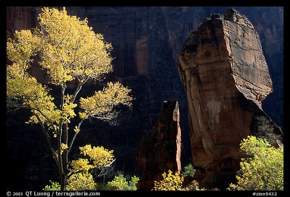 The Pulpit, temple of Sinawava, late morning. Zion National Park