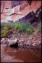 Multi-colored rock walls above the Third Emerald Pool. Zion National Park, Utah, USA.