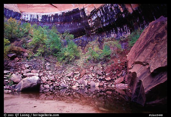 Boulder and cliff above  Third Emerald Pool. Zion National Park (color)