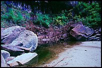 Sandstone boulders in Third Emerald Pool. Zion National Park, Utah, USA.