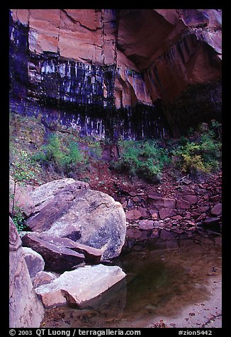 Boulders in  Third Emerald Pool. Zion National Park, Utah, USA.