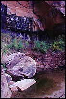 Boulders in  Third Emerald Pool. Zion National Park, Utah, USA. (color)