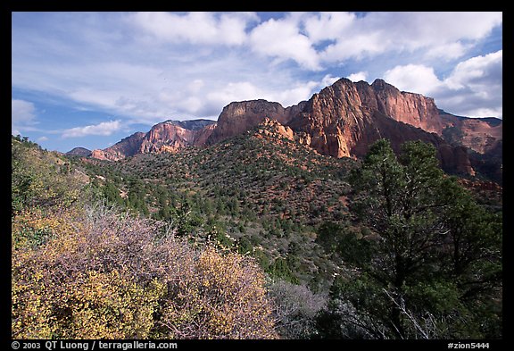 Finger canyons of the Kolob. Zion National Park, Utah, USA.