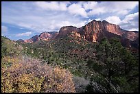 Finger canyons of the Kolob. Zion National Park, Utah, USA.