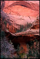 Double Arch Alcove, Middle Fork of Taylor Creek. Zion National Park, Utah, USA.