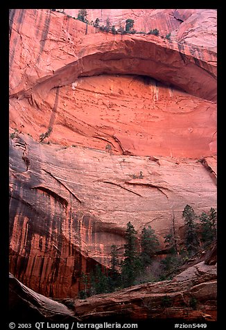 Double Arch Alcove, Middle Fork of Taylor Creek. Zion National Park (color)