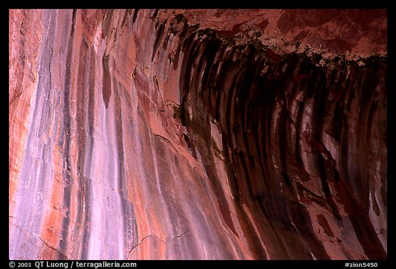 Striated rock in  base alcove of  Double Arch Alcove, Middle Fork of Taylor Creek. Zion National Park (color)