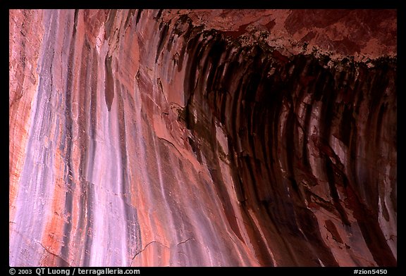 Striated rock in  base alcove of  Double Arch Alcove, Middle Fork of Taylor Creek. Zion National Park, Utah, USA.